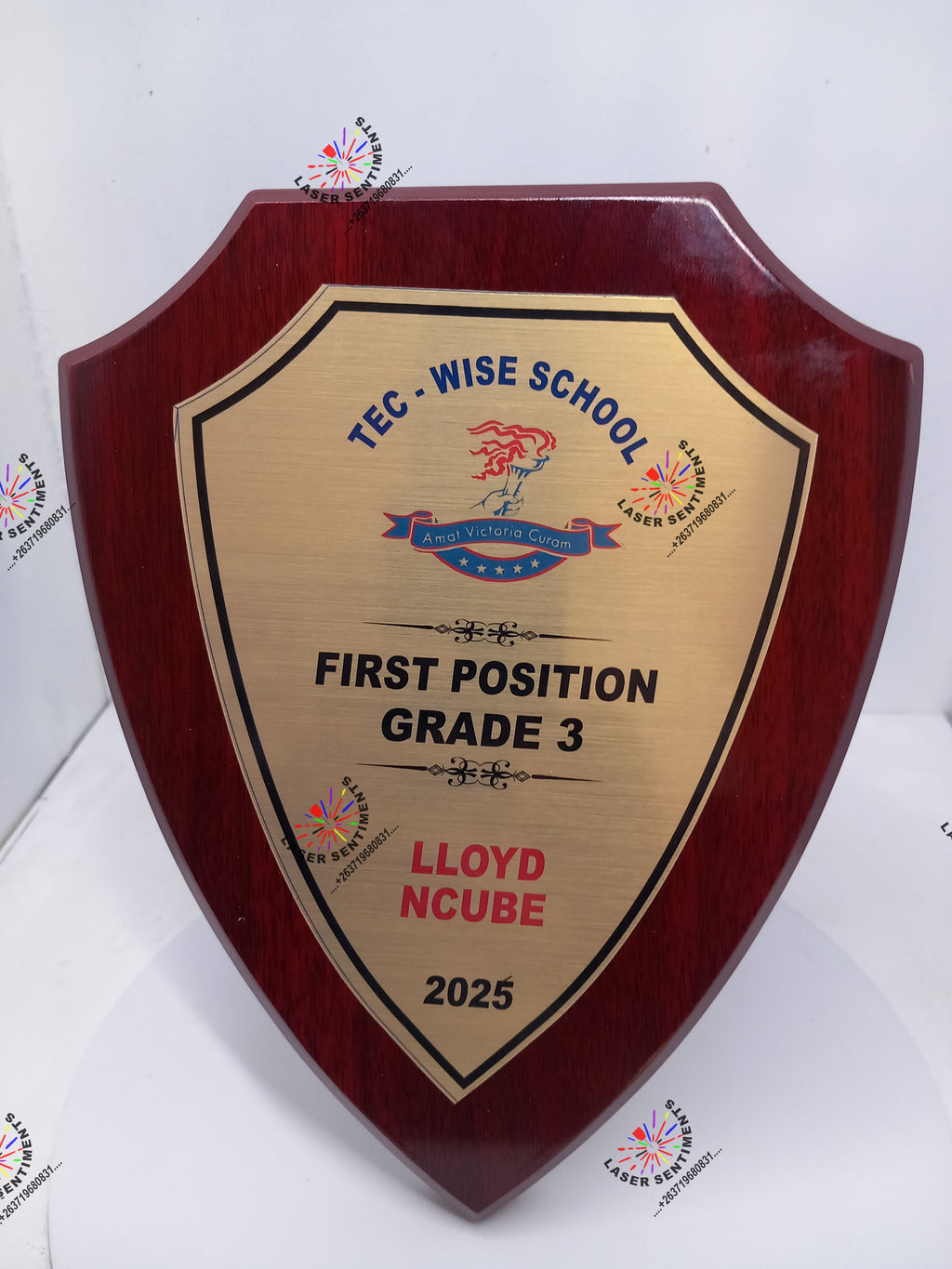 WSC1 POINTED SHIELD WOOD PLAQUE