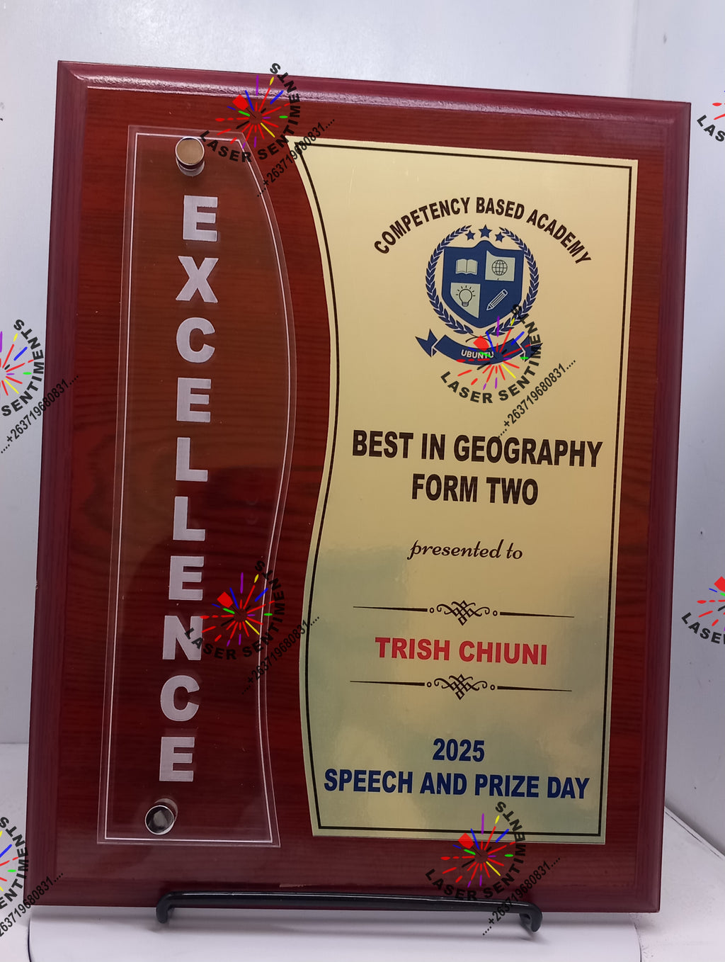 MCW3 Recognition Series Shield With Easel Stand