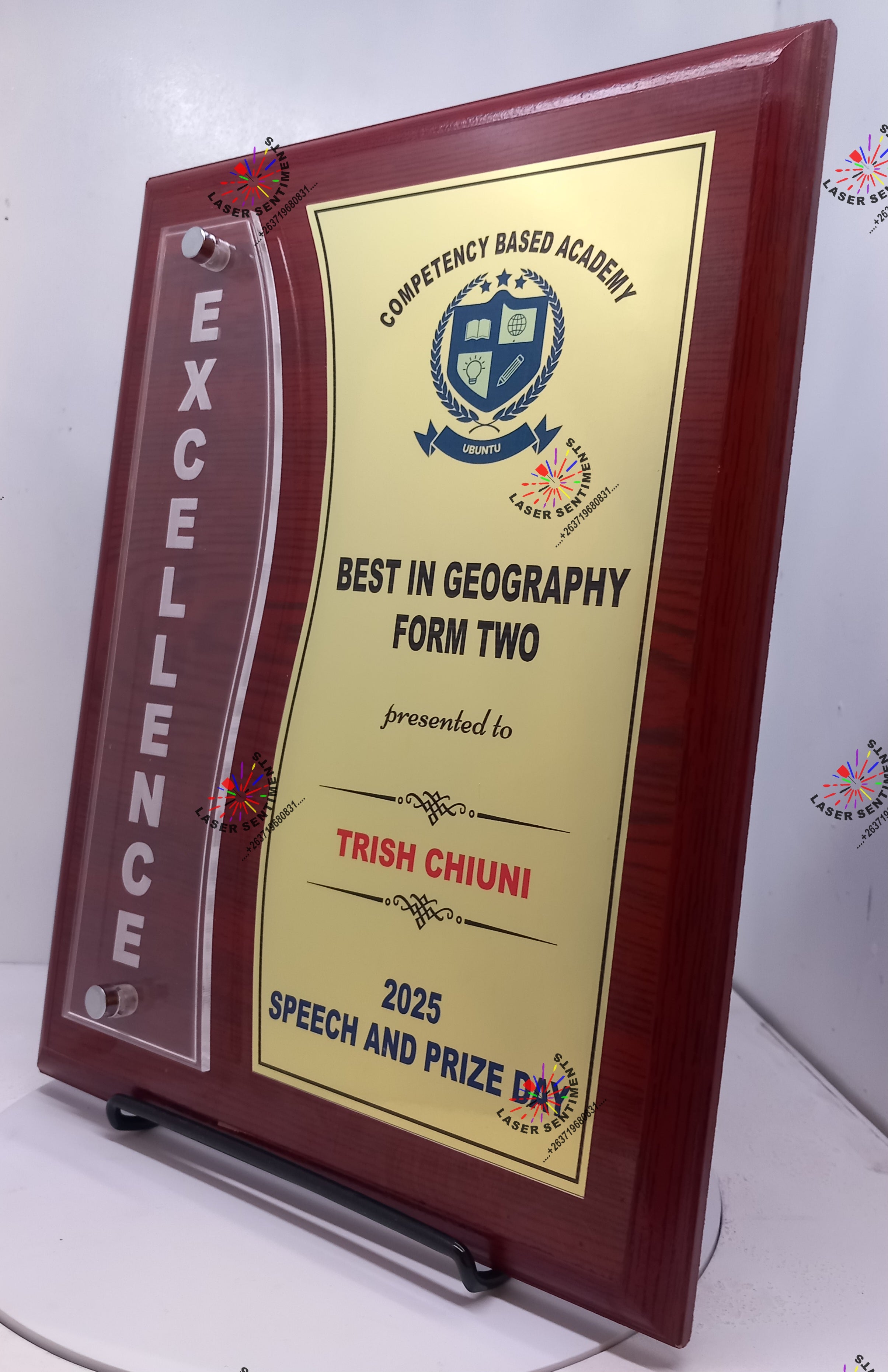 MCW3 Recognition Series Shield With Easel Stand