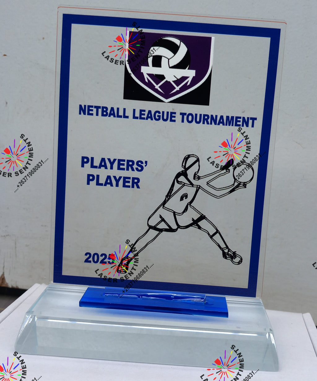 INDIVIDUAL SPORTING AWARDS