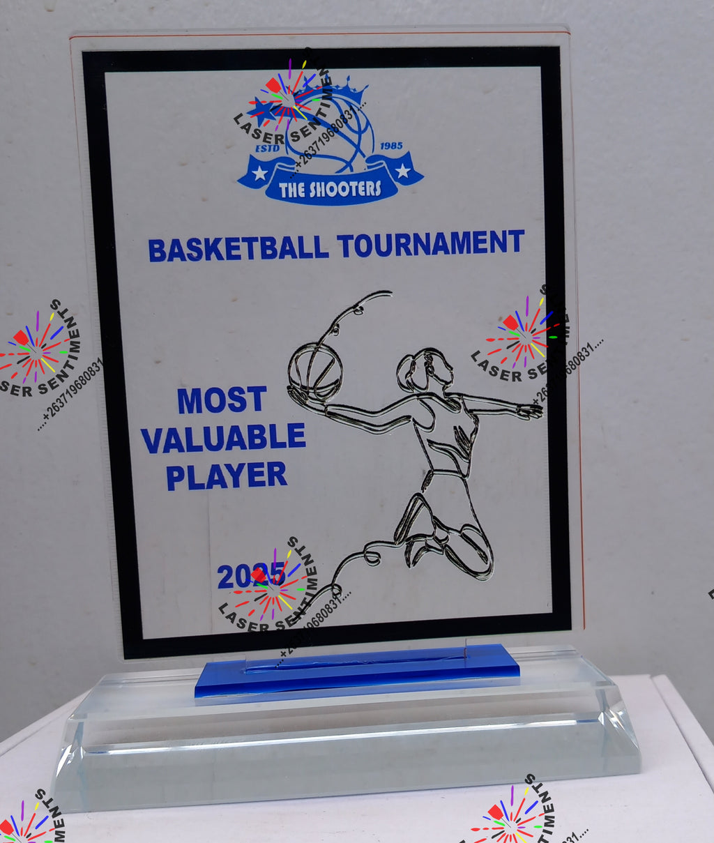 INDIVIDUAL SPORTING AWARDS