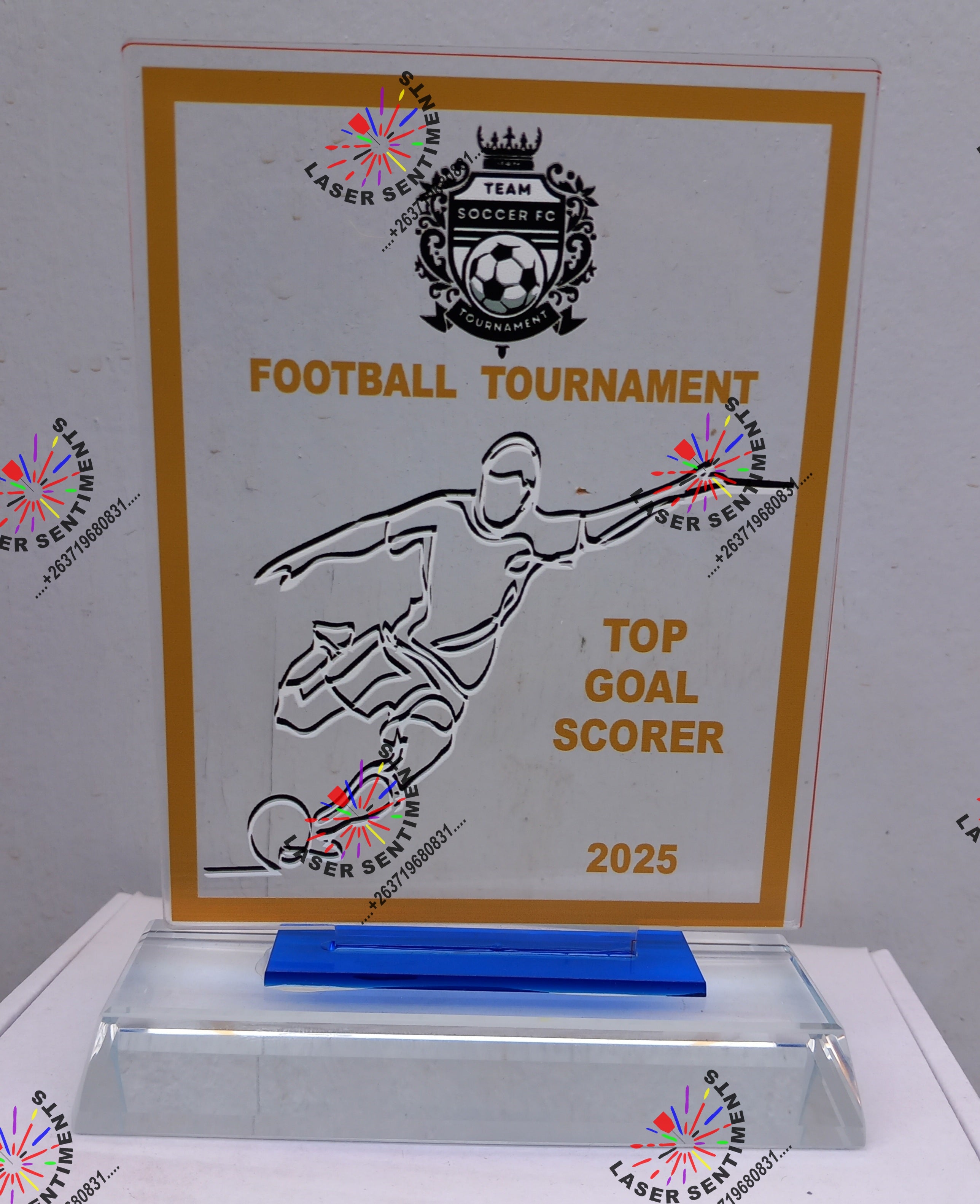 INDIVIDUAL SPORTING AWARDS