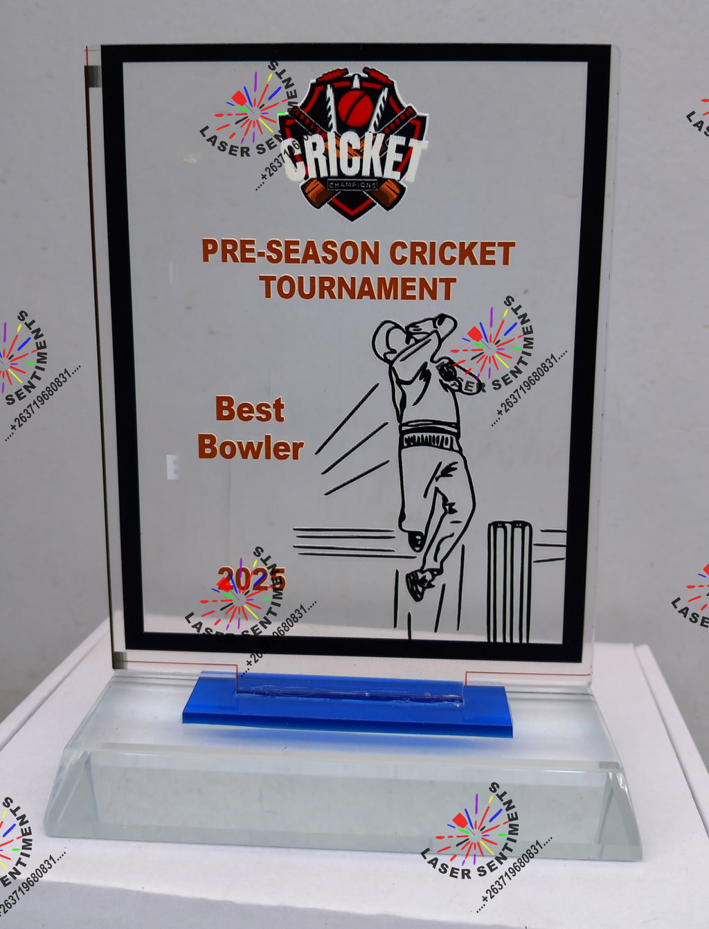 INDIVIDUAL SPORTING AWARDS