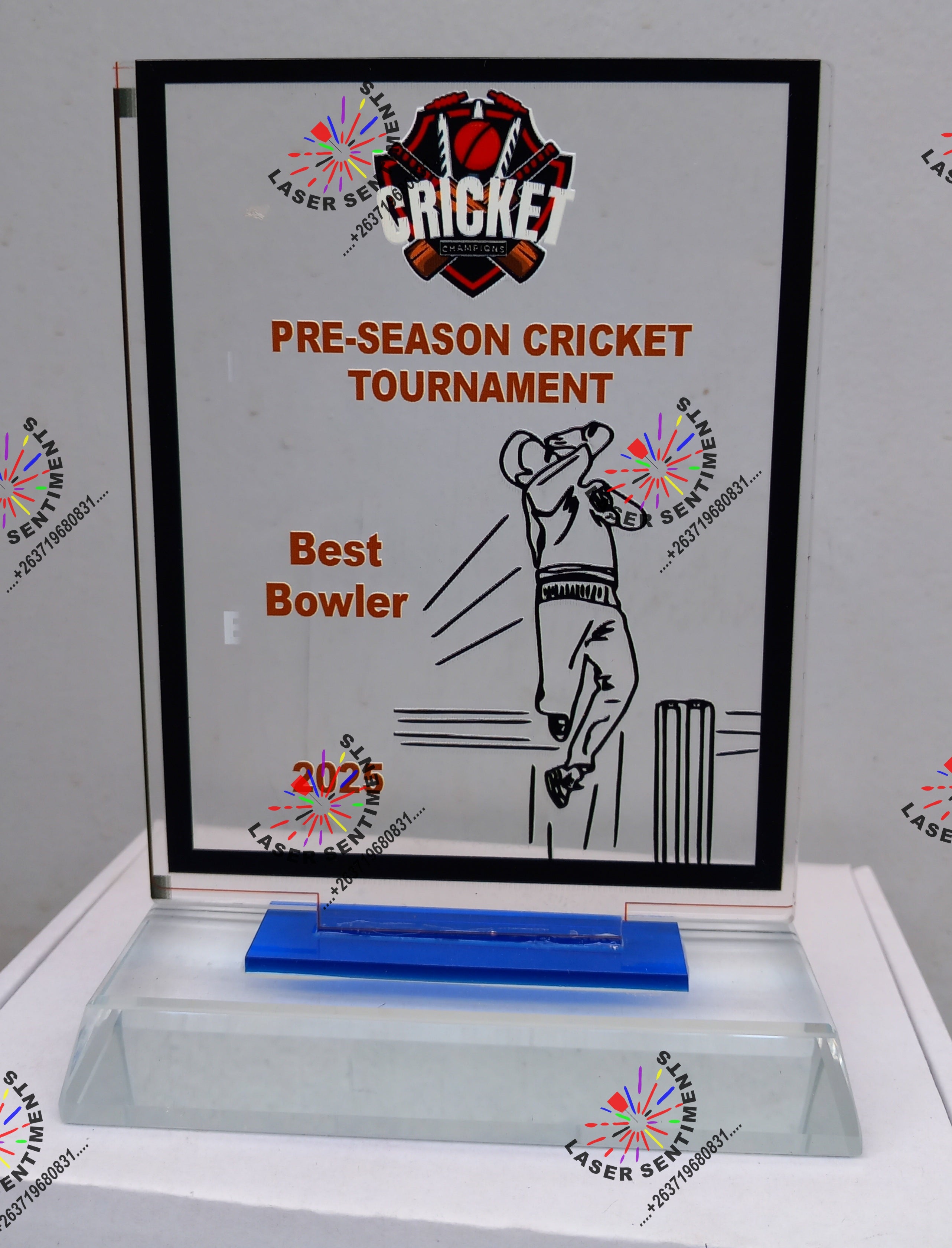 INDIVIDUAL SPORTING AWARDS