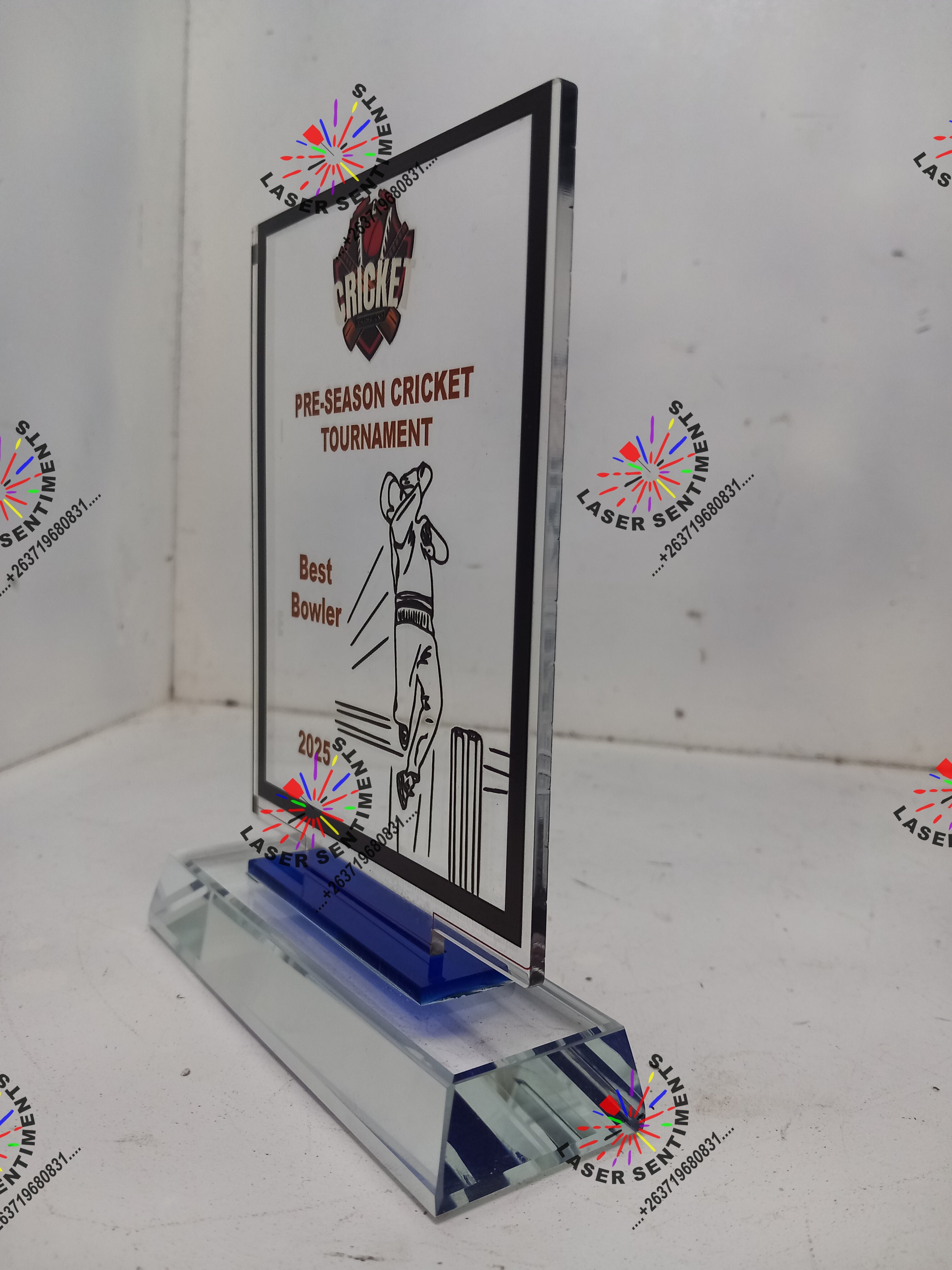 INDIVIDUAL SPORTING AWARDS